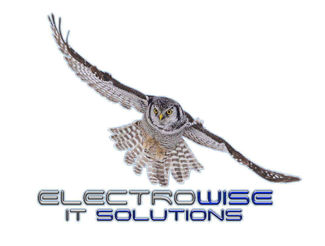 Electrowise IT Solutions logo